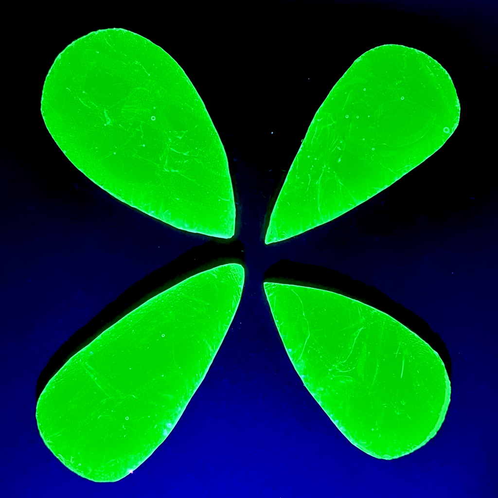 Uranium Pre-Shaped Glass Slab